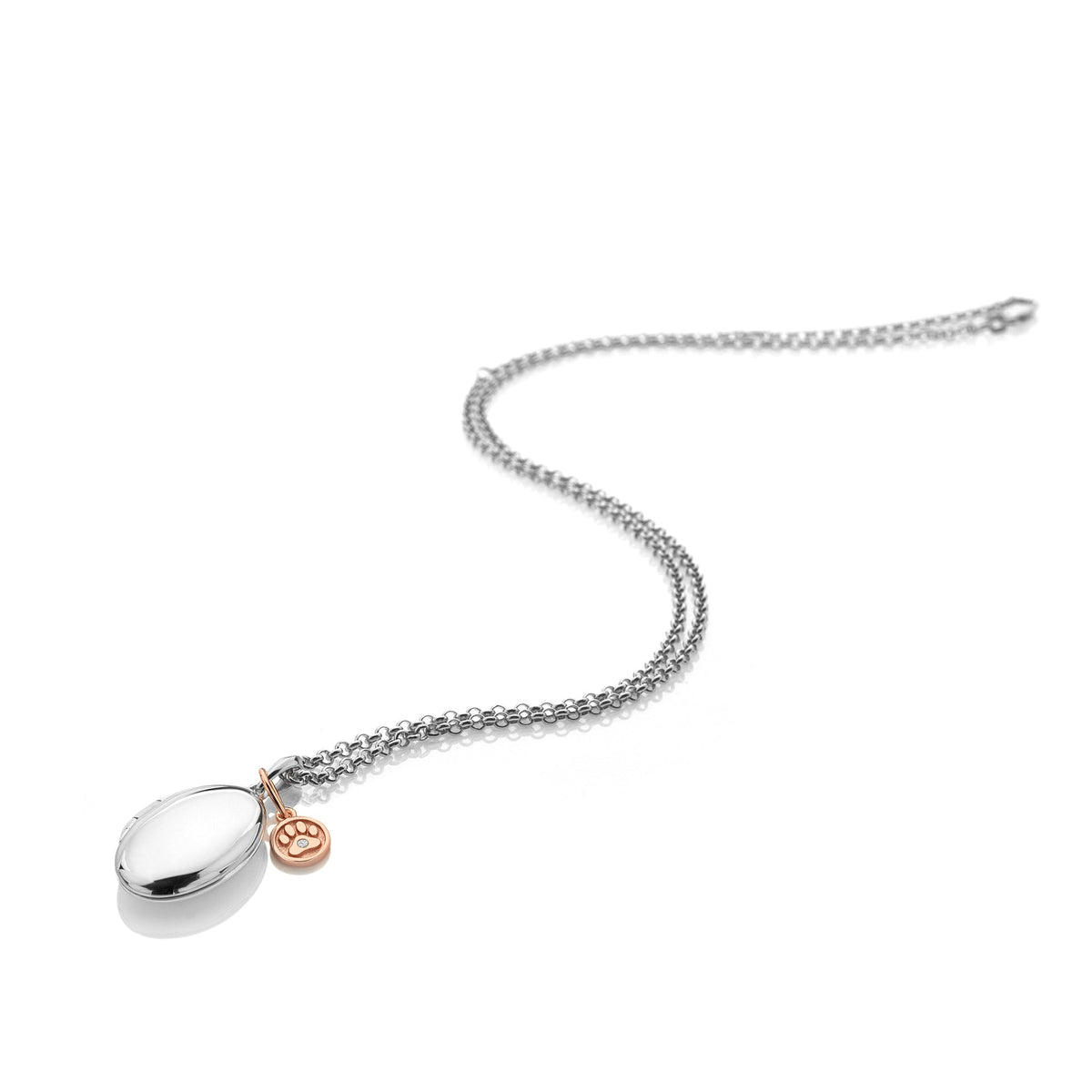 Dog Paw Locket